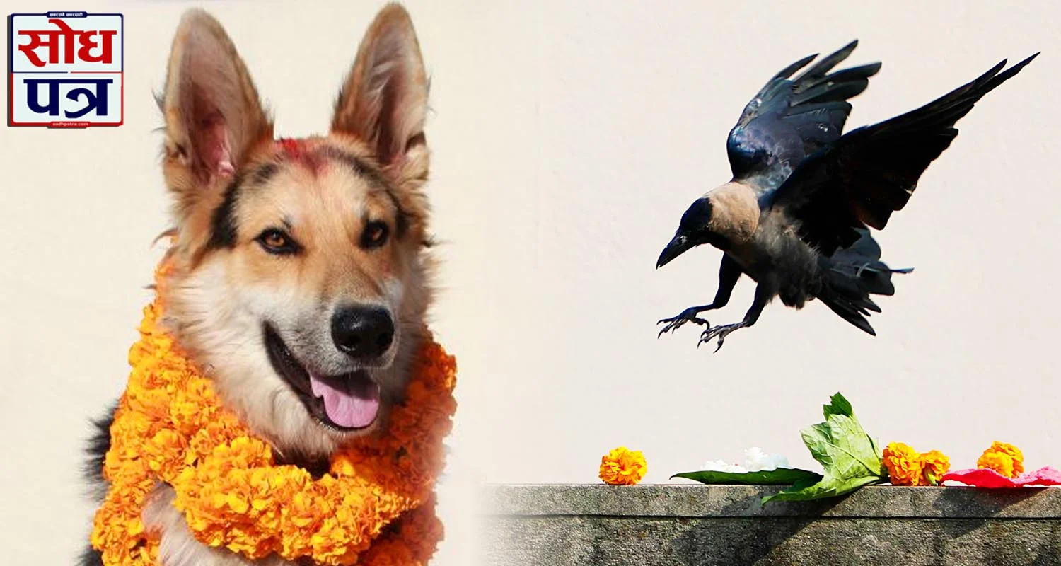 काग र कुकुर तिहार