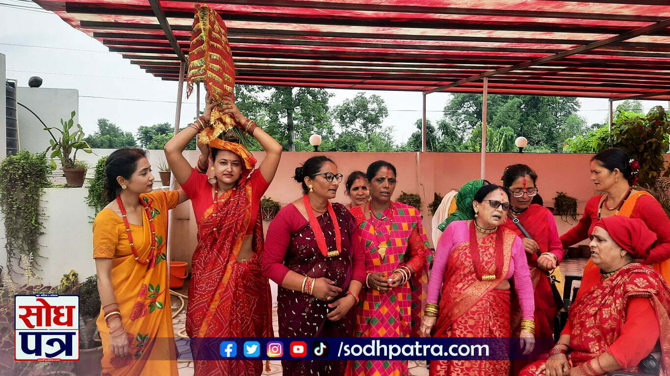 त्यस्तै सप्तमीका दिन गौरा देवीलाई नजिकैको मठमन्दिरमा भित्र्याएर पूजा अर्चना गरी विवाहित महिलाहरुले दुवधागो (मन्त्रिएको एक किसिमको धागो) चढाउने चलन छ। अठवली अर्थात् अष्टमीको दिन व्रत बसेर गौरा पर्व मनाउने स्थल गौरा खला (आँगन)मा पार्वती र शिवको पूजापाठ गर्ने चलन छ। आजको दिनलाई दुर्वाष्टमी पनि भन्ने गरिन्छ। गौरा पर्वको मुख्य आकर्षणको रुपमा रहेको देउडामा पौराणिक कथा, देवी देवताका गाथा गाउने, चैतली, धुमरी, ढुस्को लगायतका भाकामा देउडा खेल खेल्ने चलन छ। देउडाका माध्यमबाट समाजमा भएको विकृति, देशको राजनीतिक अवस्था लगायतका बारेमा तिखो व्यङ्ग्य गरी पनि गरिन्छ। त्यस्तै देउडा गीतका माध्यमबाट सुख दुःख बाँड्नुका साथै सामाजिक सदभाव कायम पनि गरिन्छ।