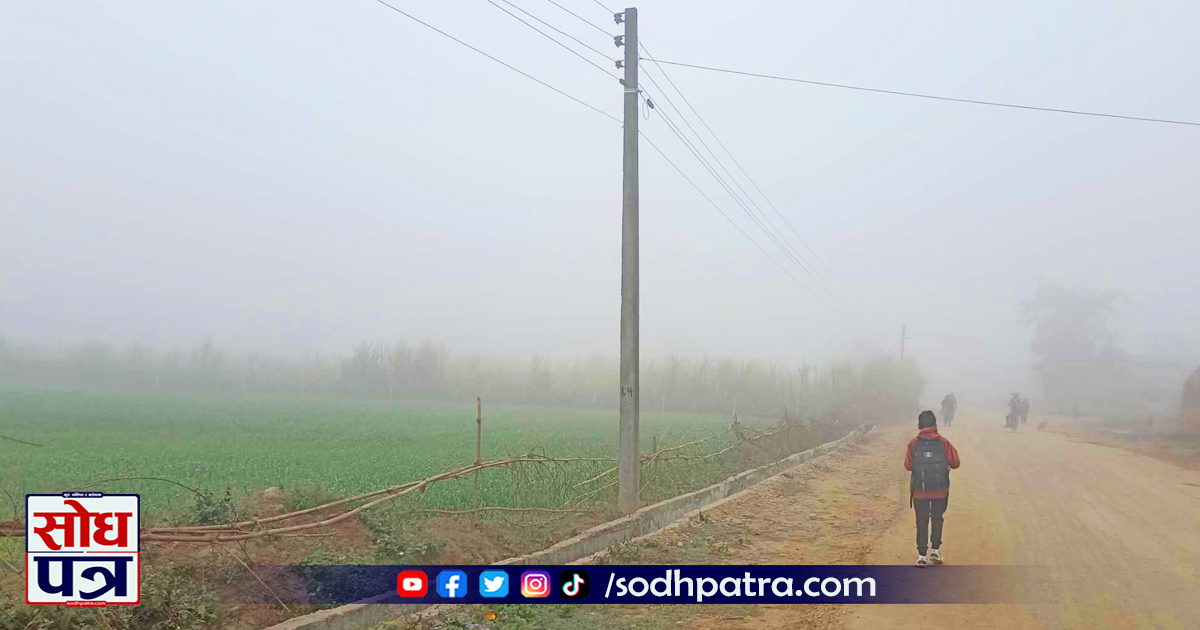 के हो शीतलहर, यसबाट कसरी बच्ने ?